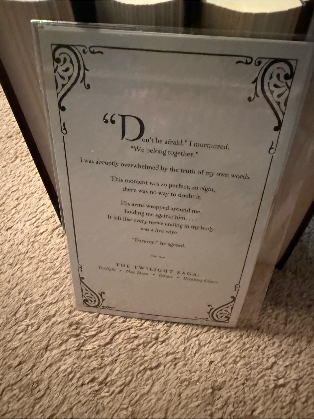 Twilight Series Box Set - Black with Red Accents - Picture 7 of 8